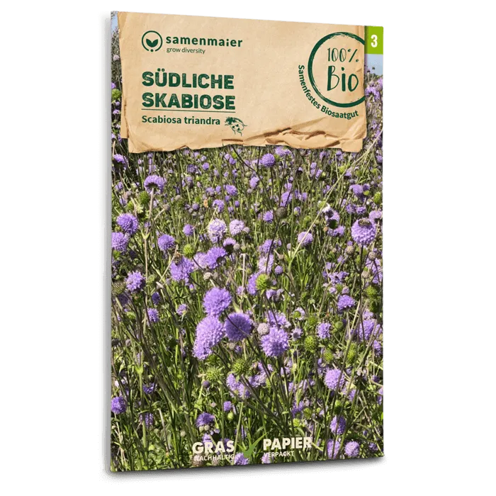 samen-maier-bio-wildblumen-s-dliche-skabiose-saatgut-40-80-cm image 1