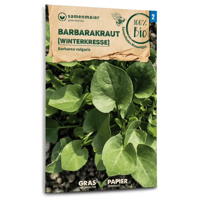 samen-maier-beet-box-wintergem-se-saatgut-set-mit-5-sorten image 5