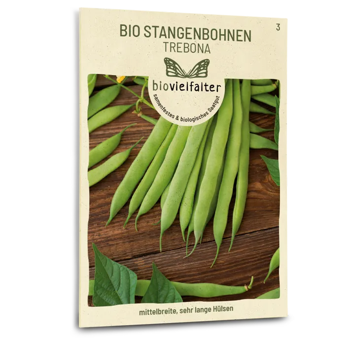 samen-maier-bio-stangenbohnen-trebona-samen image 1