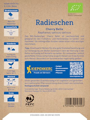 kiepenkerl-bio-radieschensamen-cherry-belle-gem-sesaat image 8