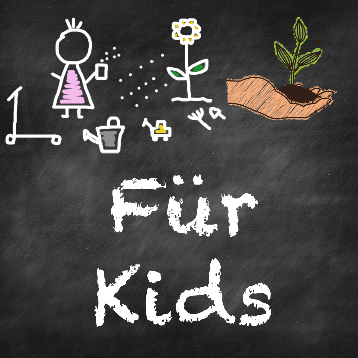 samen-maier-beet-box-f-r-kids-gem-se-und-blumen-saatgut-set-5-sorten image 7