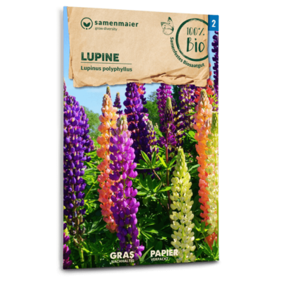 samen-maier-bio-lupine-blumensaatgut-80-120-cm image 3