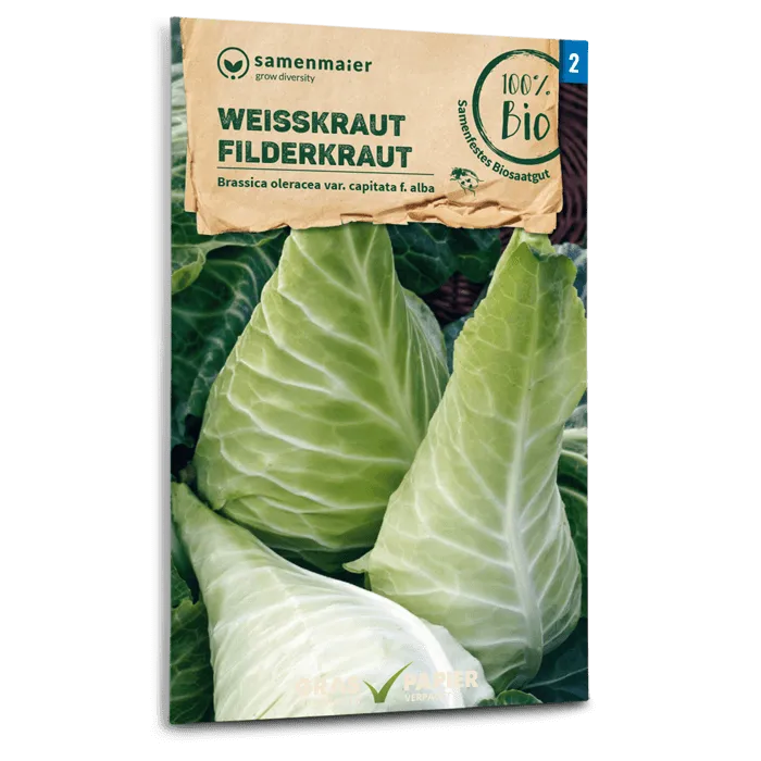 samen-maier-bio-wei-kraut-filderkraut-gem-sesamen-spitz image 1