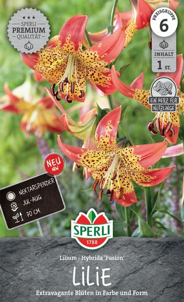 sperli-lilie-fusion-263503-lilienzwiebeln-korallrot-gelb-ca-70-cm image 1