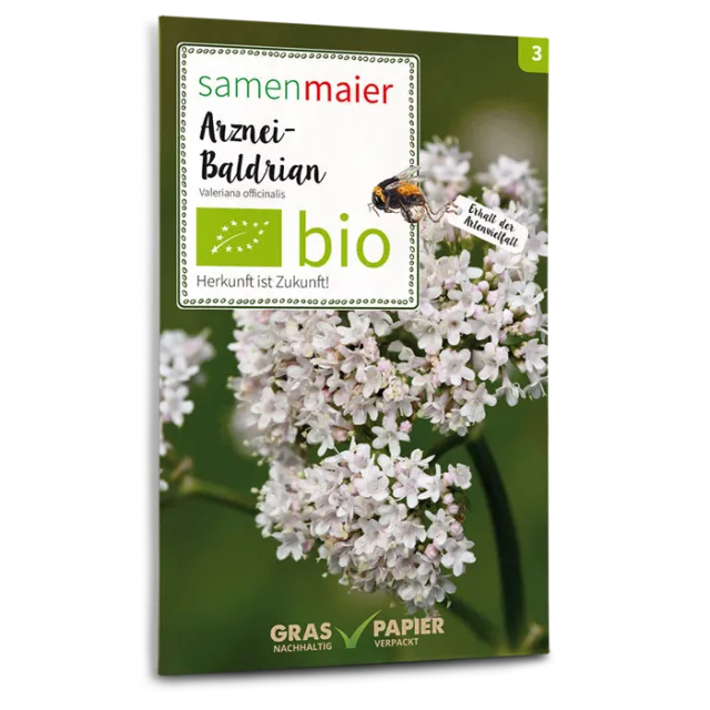 samen-maier-bio-wildblumen-arznei-baldrian-saatgut image 1