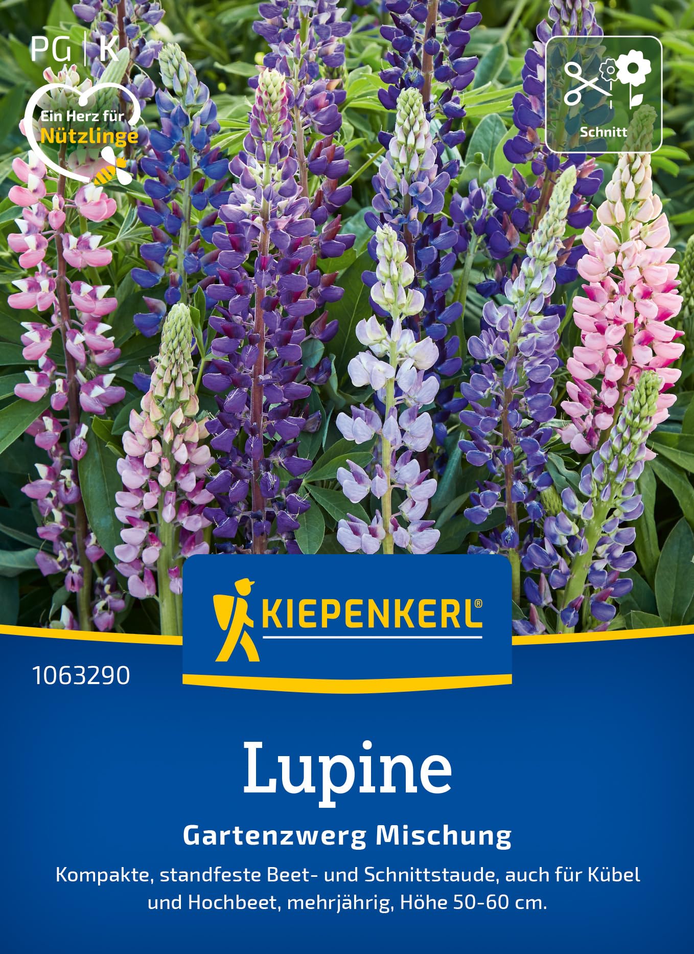 kiepenkerl-leinkrautsamen-licilia-red-1062940-sommerblumensaat image 7