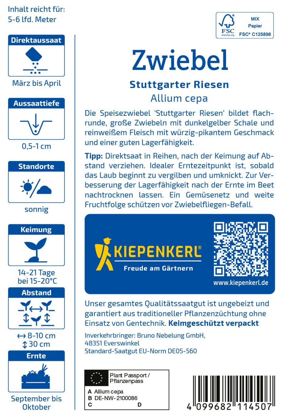 kiepenkerl-zwiebelsamen-stuttgarter-riesen-1011450-gem-sesaat image 2