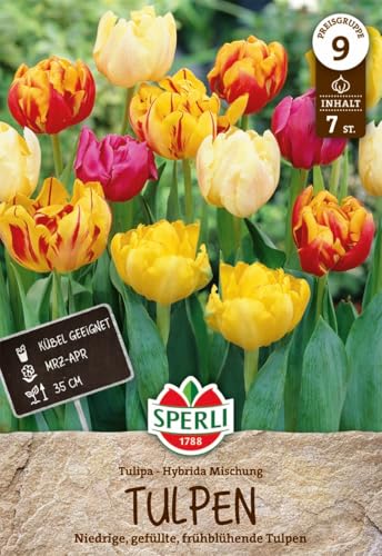 sperli-gef-llte-fr-he-tulpen-mischung-mehrfarbiger-tulpenmix-bunt image 7