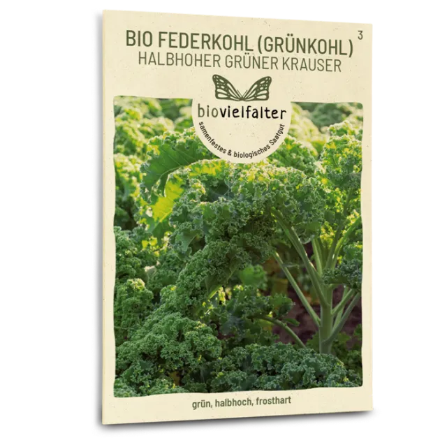 samen-maier-bio-federkohl-halbhoher-gr-ner-krauser-saatgut image 1