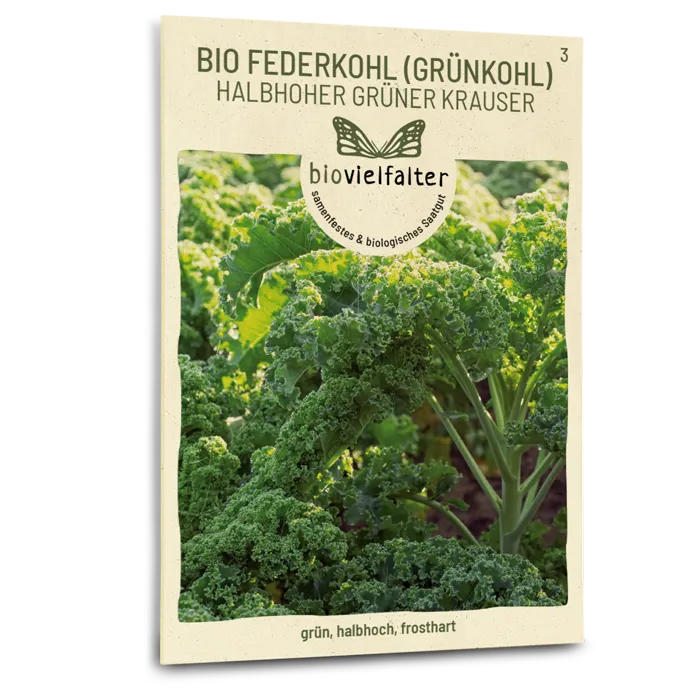 samen-maier-bio-federkohl-halbhoher-gr-ner-krauser-saatgut image 1