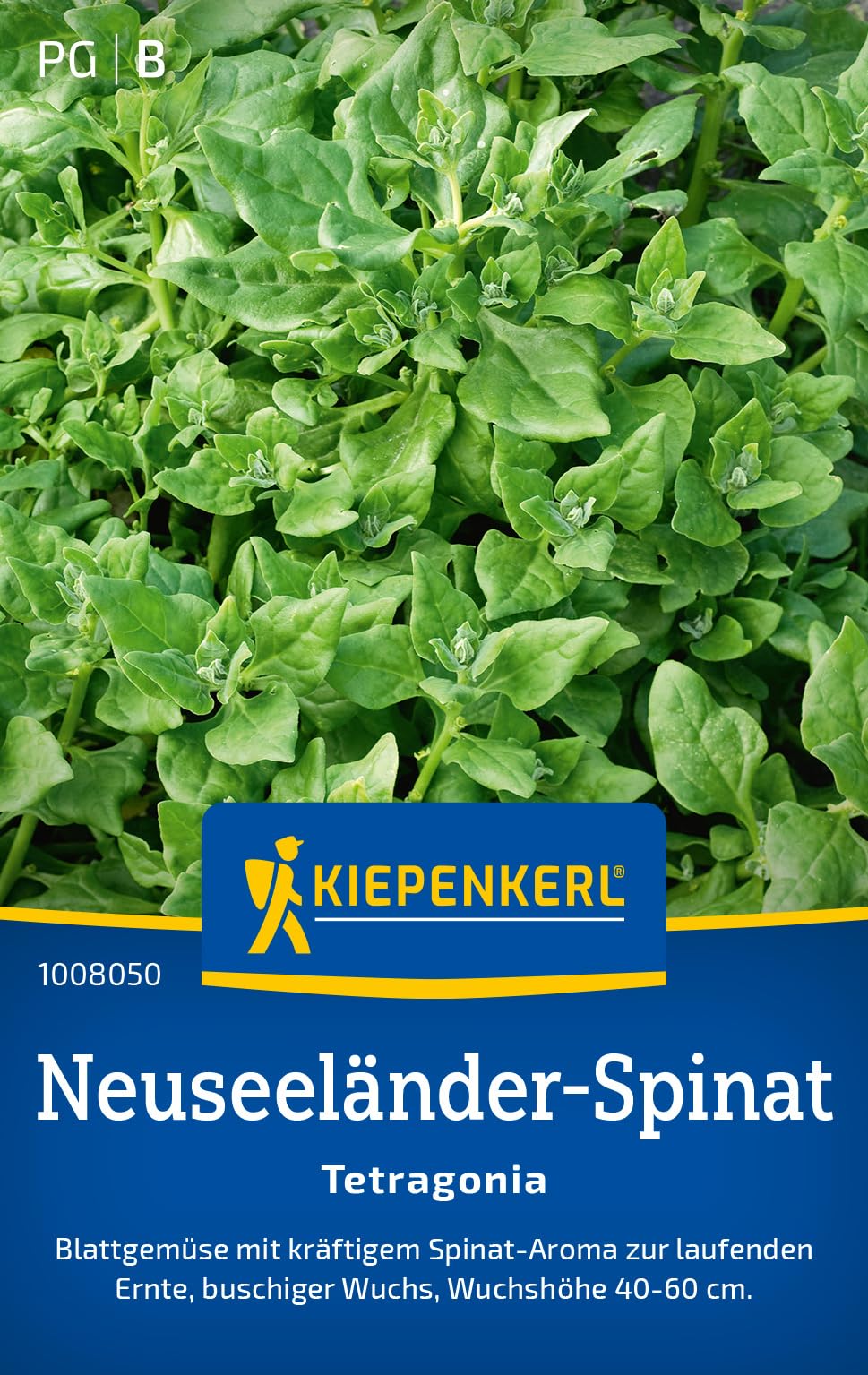 kiepenkerl-neuseel-nder-spinatsamen-tetragonia-1008050-gem-sesaat image 1