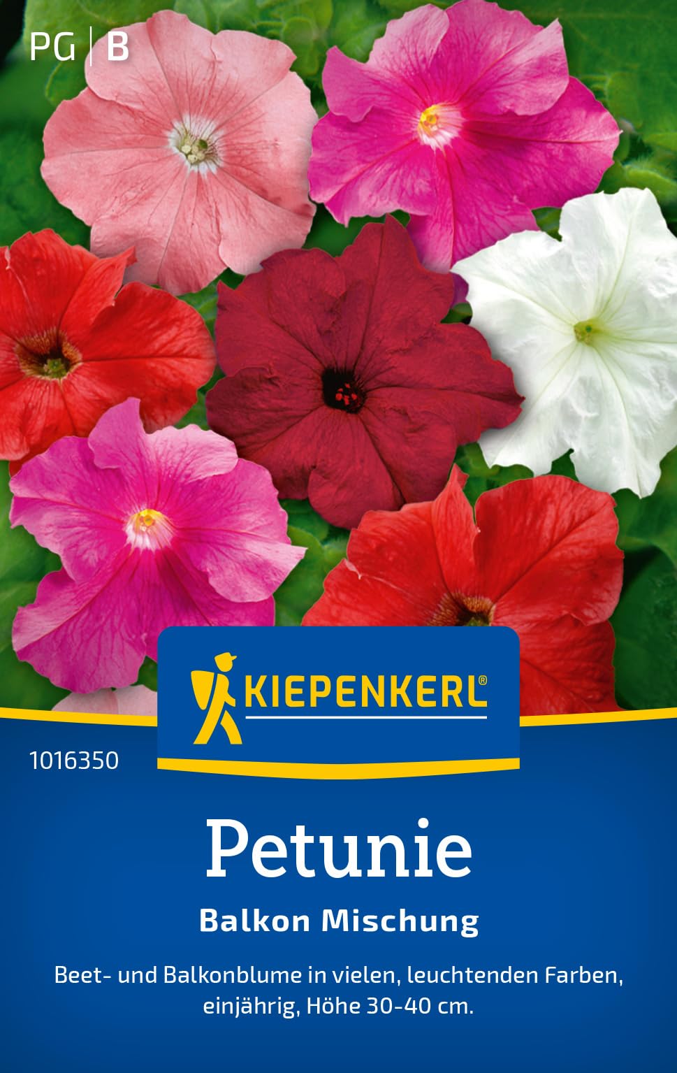 kiepenkerl-portulakr-schen-gef-llte-mischung-1016450-sommerblumensaat image 7