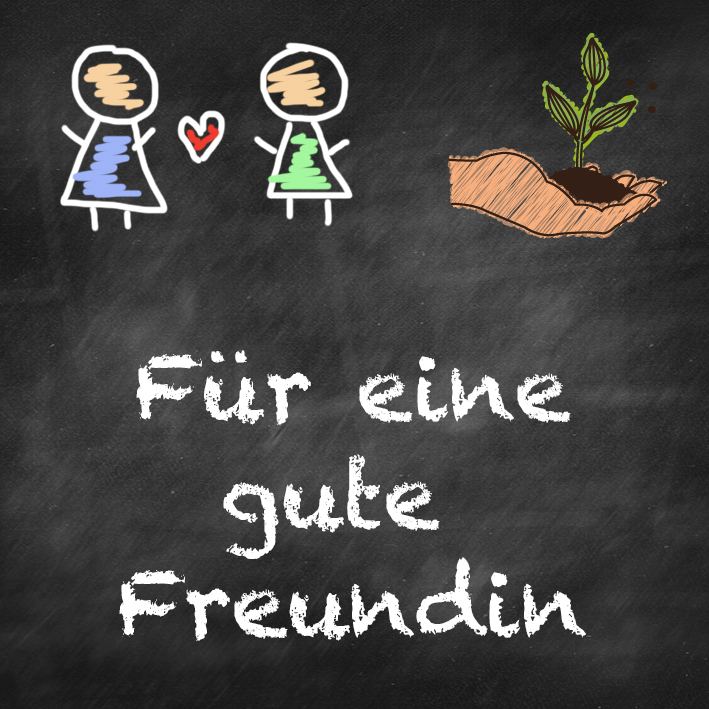 samen-maier-beet-box-f-r-eine-gute-freundin-5-sorten-set image 7