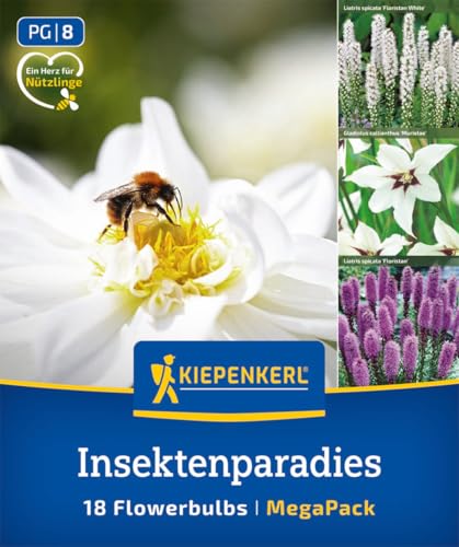 kiepenkerl-mega-pack-blumenzwiebelmischung-insektenparadies-3825015-mehrj-hrig-w image 7