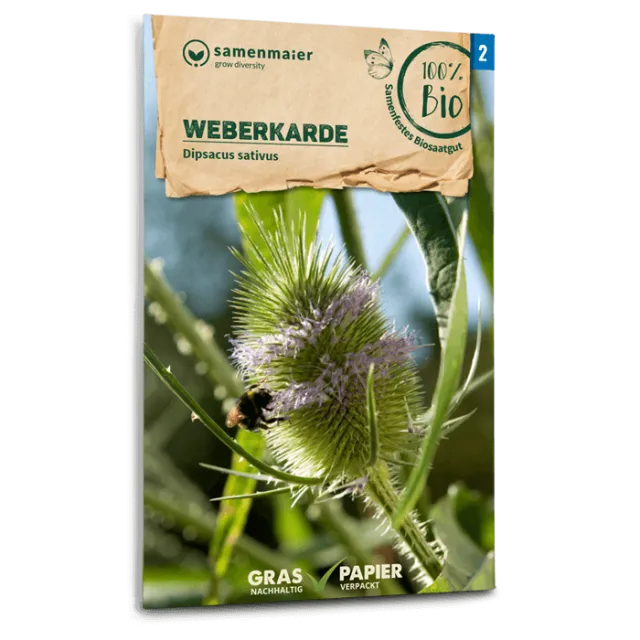 samen-maier-bio-weberkarde-saatgut-zweij-hrige-staude image 1