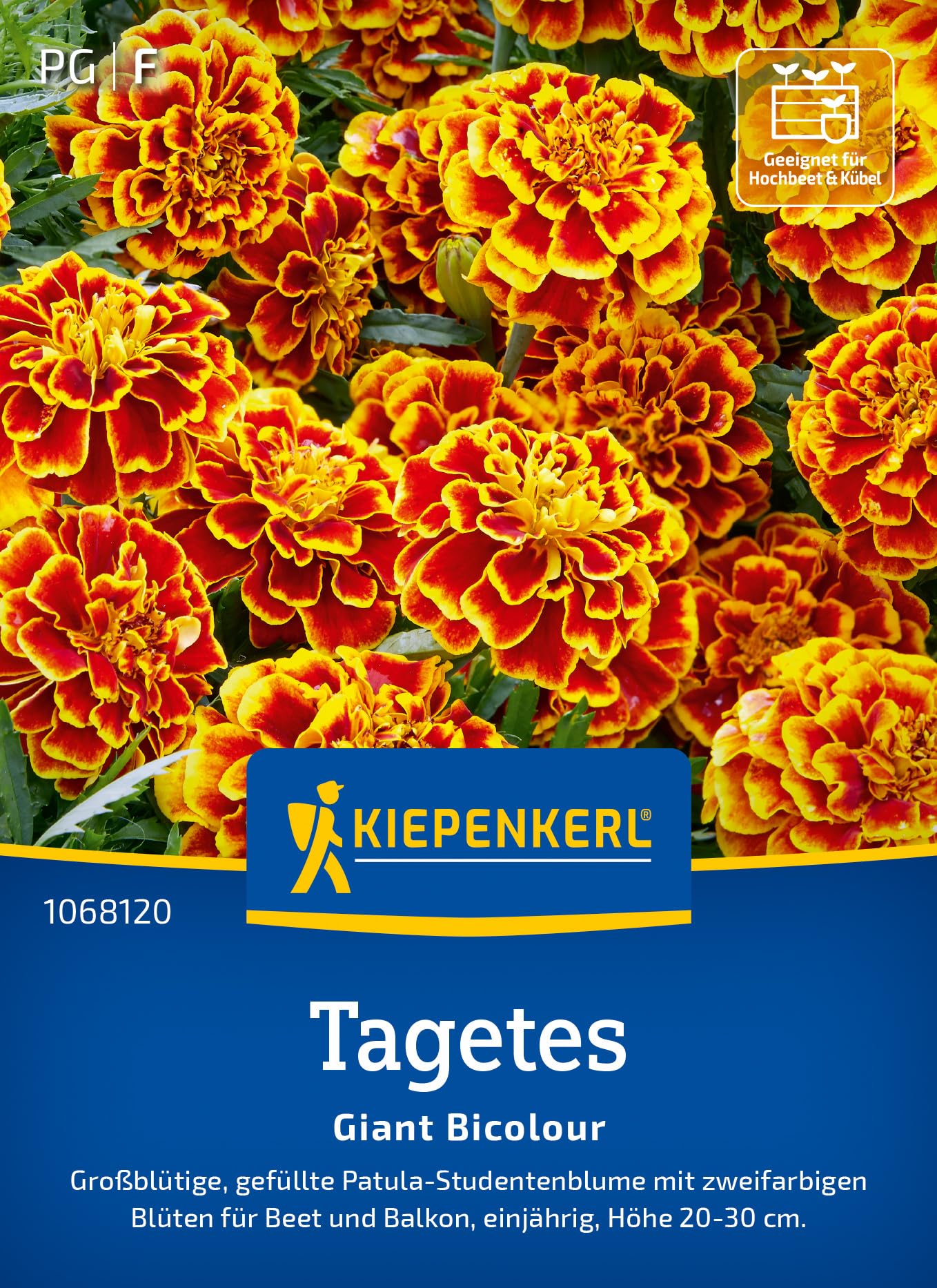 kiepenkerl-tagetes-giant-bicolour-1068120-sommerblumensaat image 1