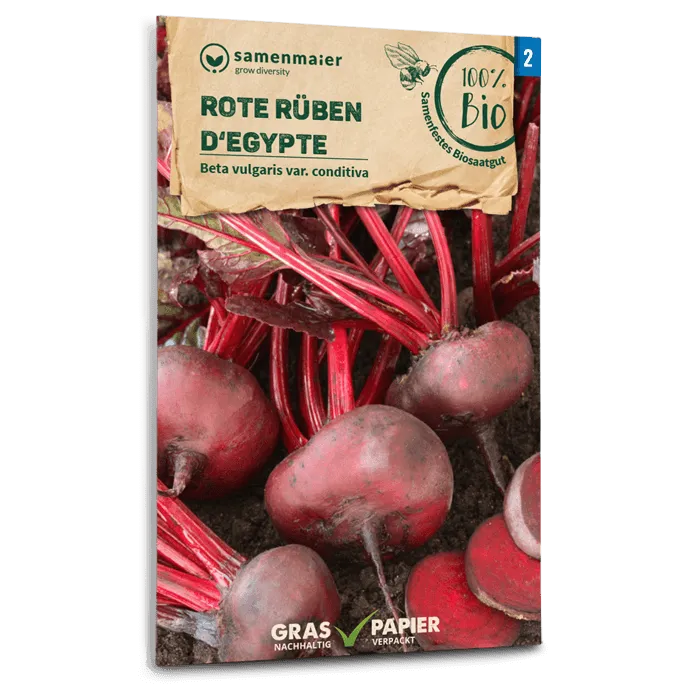 samen-maier-bio-rote-r-ben-d-egypte-saatgut image 1