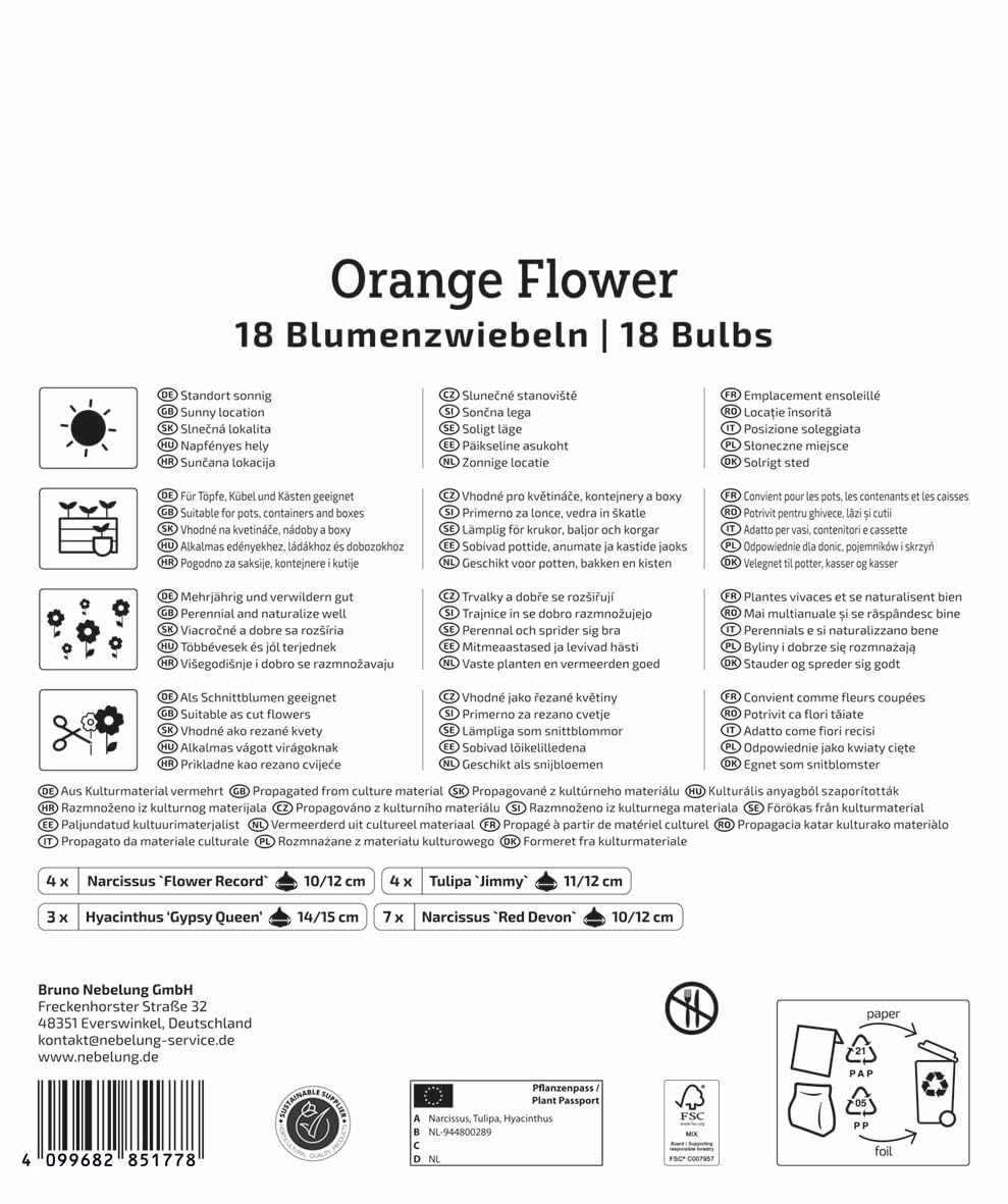 kiepenkerl-mega-pack-orange-flower-mix-blumenzwiebel-mischung-30-45-cm image 2