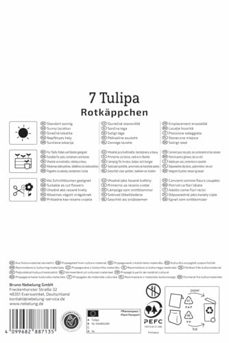 kiepenkerl-greigii-tulpe-rotk-ppchen-blumenzwiebeln-rot-f-r-k-bel-und-k-sten image 7