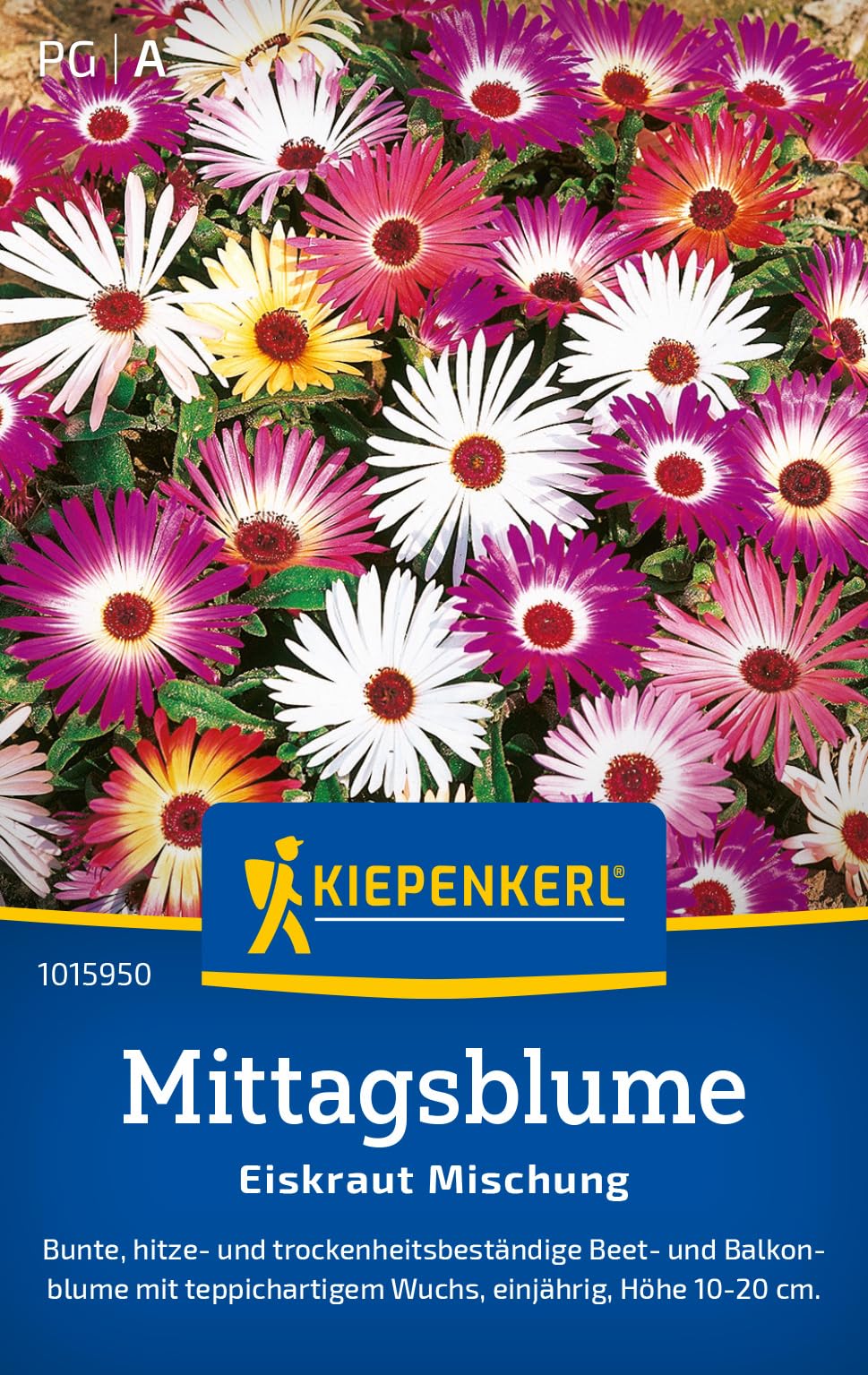 kiepenkerl-mittagsblumensamen-eiskraut-mischung-1015950-sommerblumensaat image 1