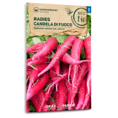 samen-maier-bio-radies-candela-di-fuoco-radieschensamen image 3