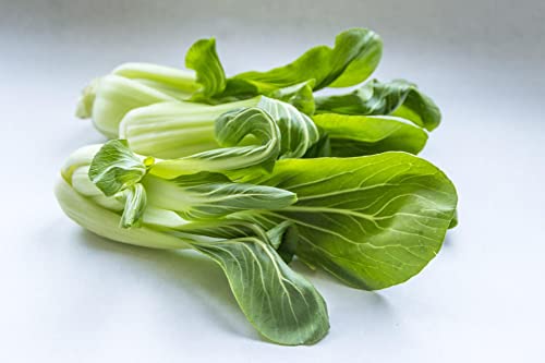 sperli-premium-pak-choi-samen-81173-mini-asia-gem-se image 7