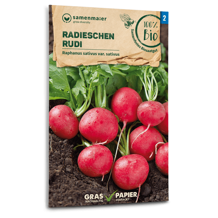 samen-maier-bio-radieschen-rudi-saatgut image 1