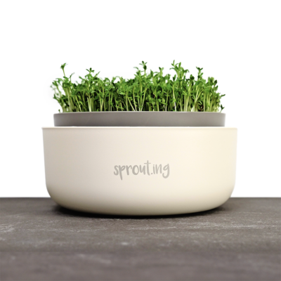 samen-maier-sprossen-anzuchtschale-keimschale-f-r-microgreens image 4