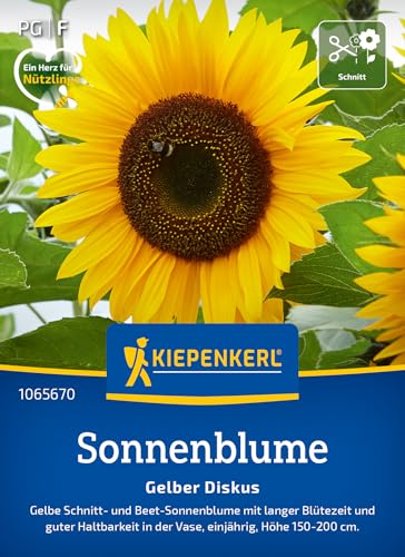 kiepenkerl-sonnenblumensamen-gelber-diskus-blumensaat image 6