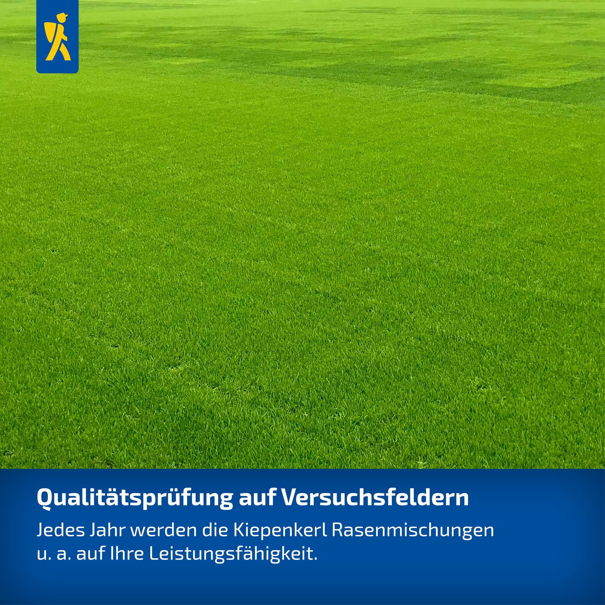 kiepenkerl-1085234-spiel-sportrasen-strapazierf-hige-rasensaat image 4