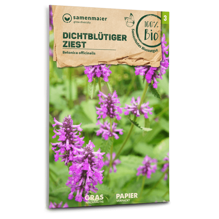 samen-maier-bio-wildblumen-dichtbl-tiger-ziest-saatgut-in-graspapier image 1