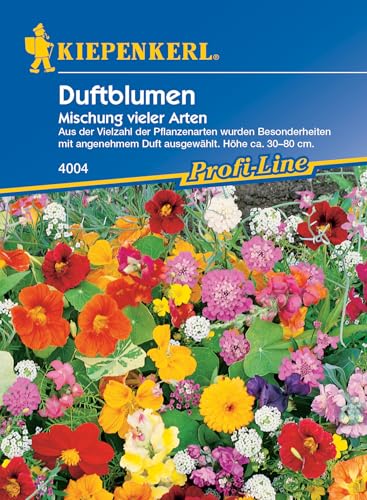 kiepenkerl-profi-line-duftblumen-mischung-einj-hrige-sommerblumen-samen image 8