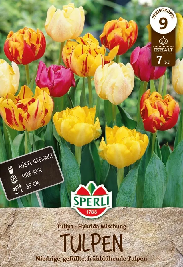 sperli-gef-llte-fr-he-tulpen-mischung-mehrfarbiger-tulpenmix-bunt image 1