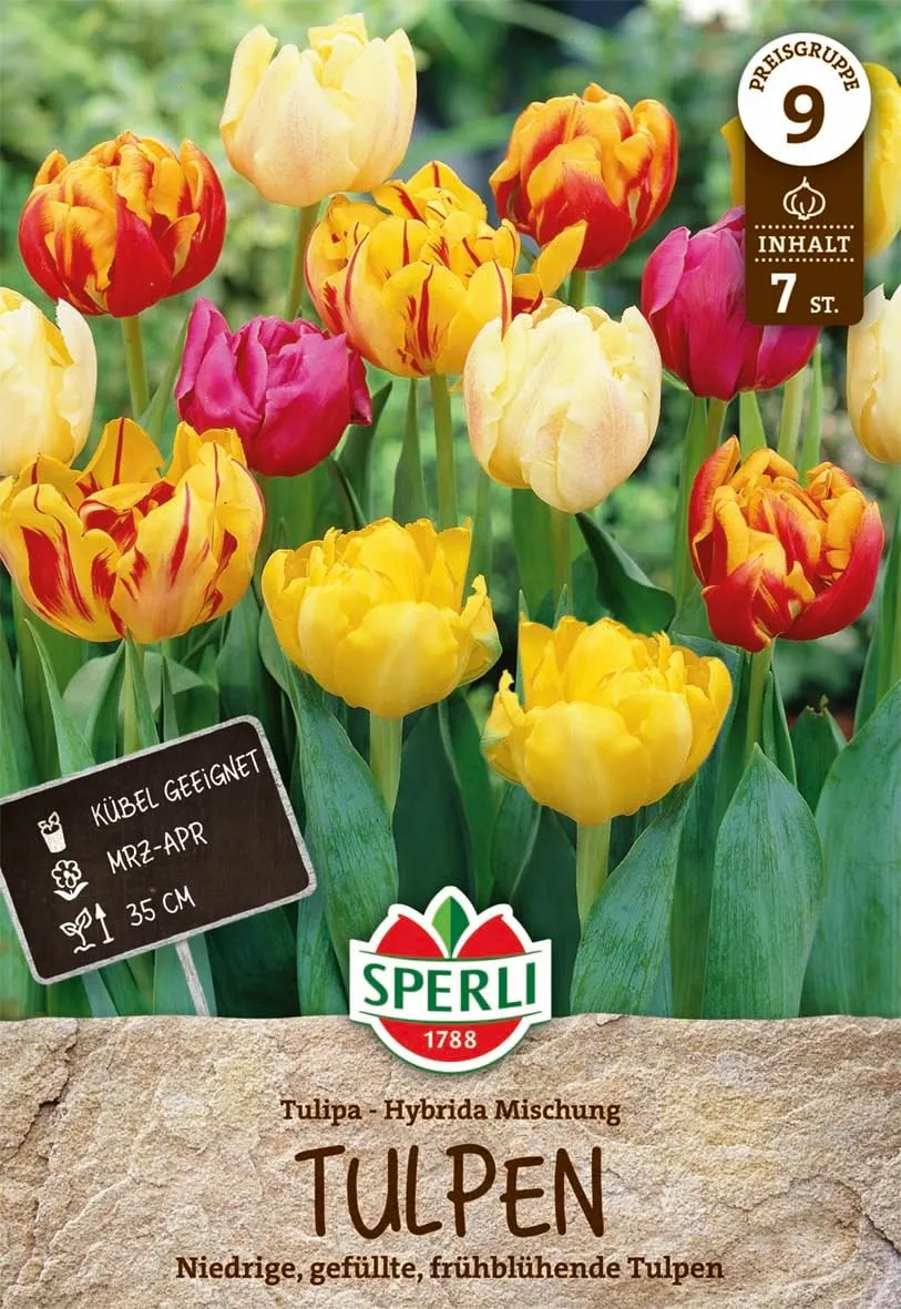 sperli-gef-llte-fr-he-tulpen-mischung-mehrfarbiger-tulpenmix-bunt image 1