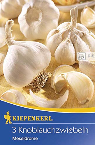 kiepenkerl-knoblauchzwiebel-messidrome-3-steckzwiebeln image 1