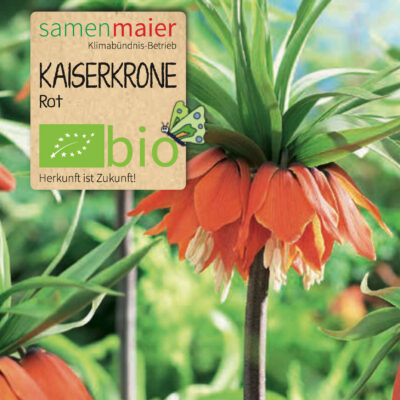 samen-maier-bio-kaiserkrone-rot-blumenzwiebeln image 2
