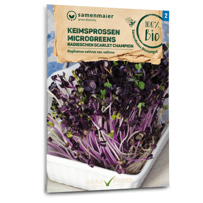 samen-maier-bio-keimsprossen-radieschen-scarlet-champion-microgreens image 1