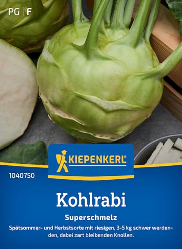 kiepenkerl-profi-line-kohlrabi-superschmelz-gem-sesaat image 7
