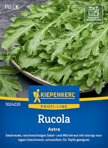 kiepenkerl-rucola-astra-1024230-gem-sesaat image 7