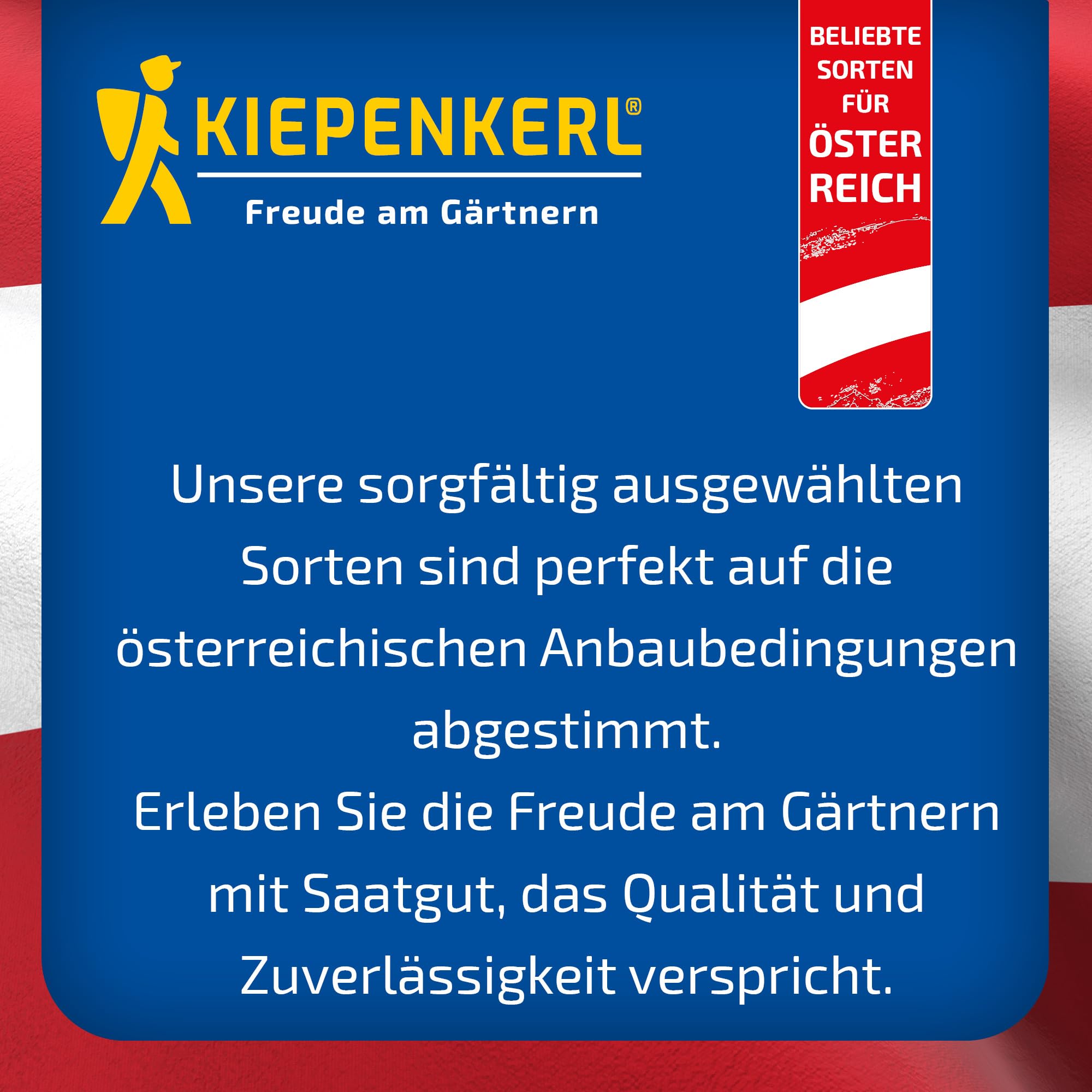 kiepenkerl-dillsamen-dinos-1076740-kr-utersaat image 6