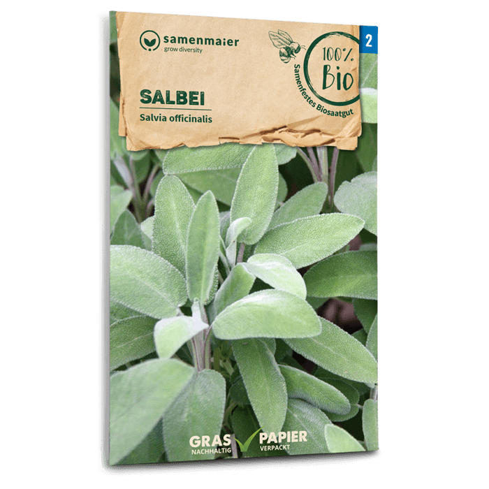 samen-maier-bio-salbei-saatgut image 1