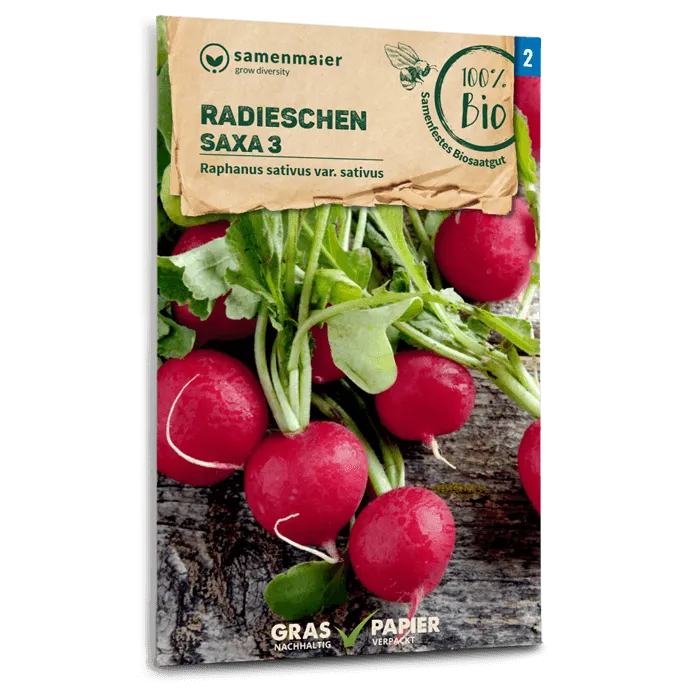 samen-maier-bio-radieschen-saxa-3-saatgut-rund-rot-knackig image 1