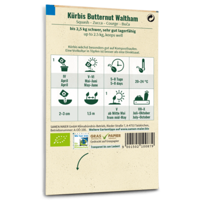 samen-maier-bio-k-rbis-butternut-waltham-gem-sesamen image 4