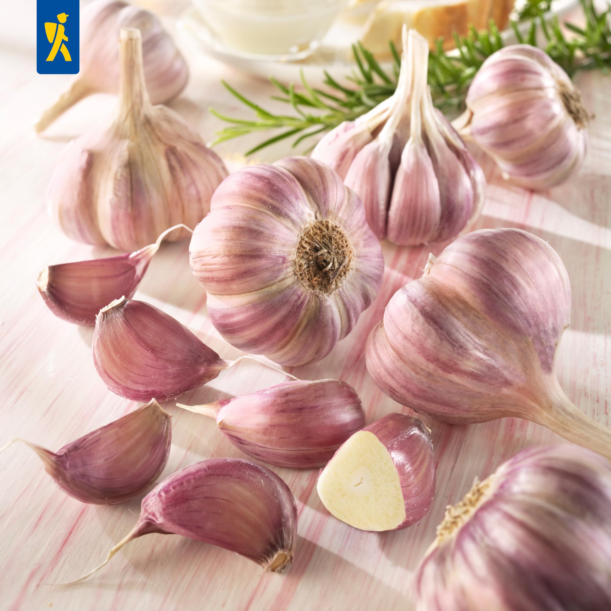 kiepenkerl-winterknoblauch-germidour-steckzwiebeln image 3