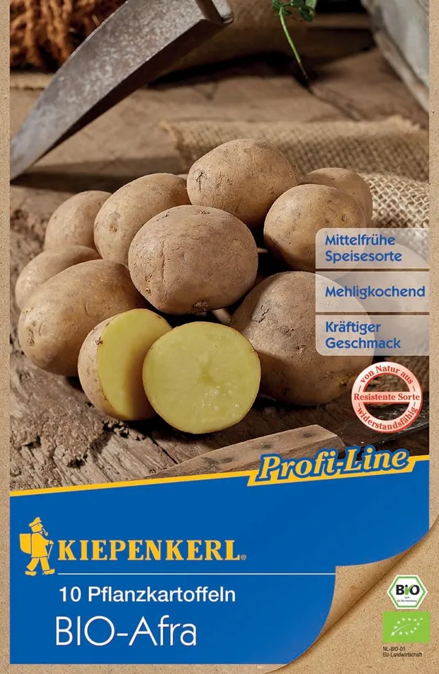kiepenkerl-bio-pflanzkartoffel-afra-10-st-ck-bio-saatgut image 1