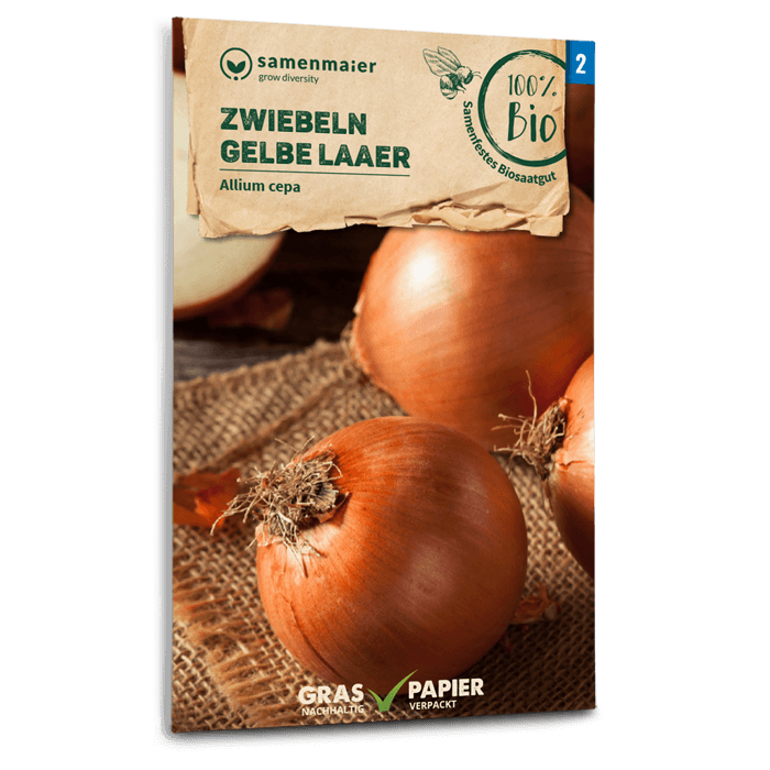 samen-maier-bio-zwiebeln-gelbe-laaer-zwiebelsamen image 1