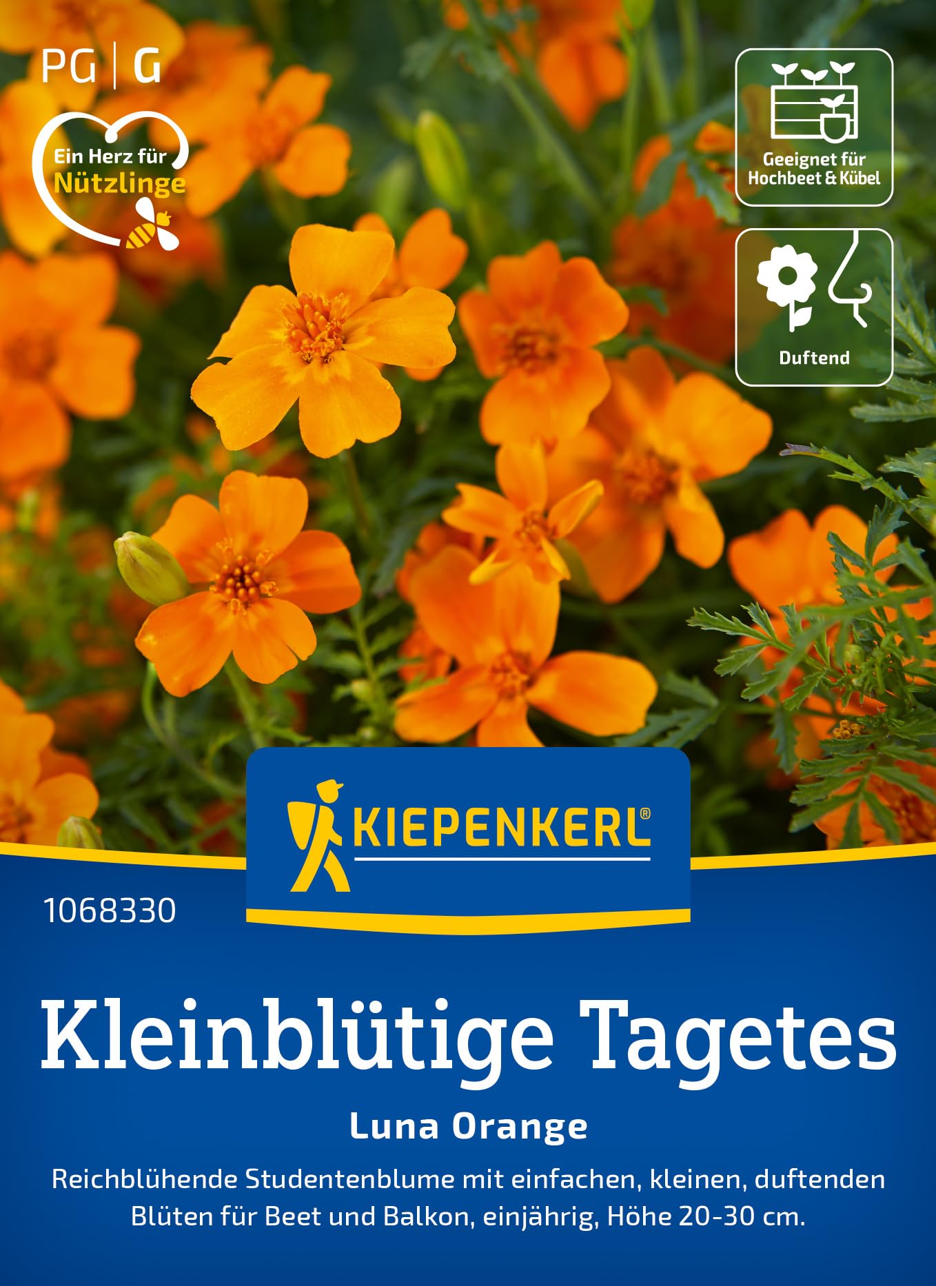 kiepenkerl-tagetes-giant-bicolour-1068120-sommerblumensaat image 8