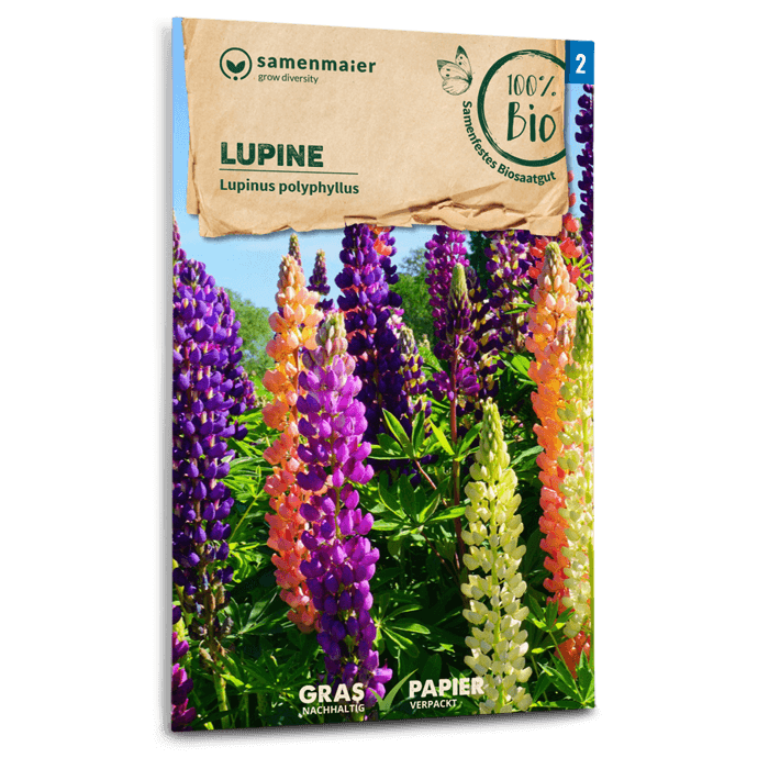 samen-maier-bio-lupine-blumensaatgut-80-120-cm image 1