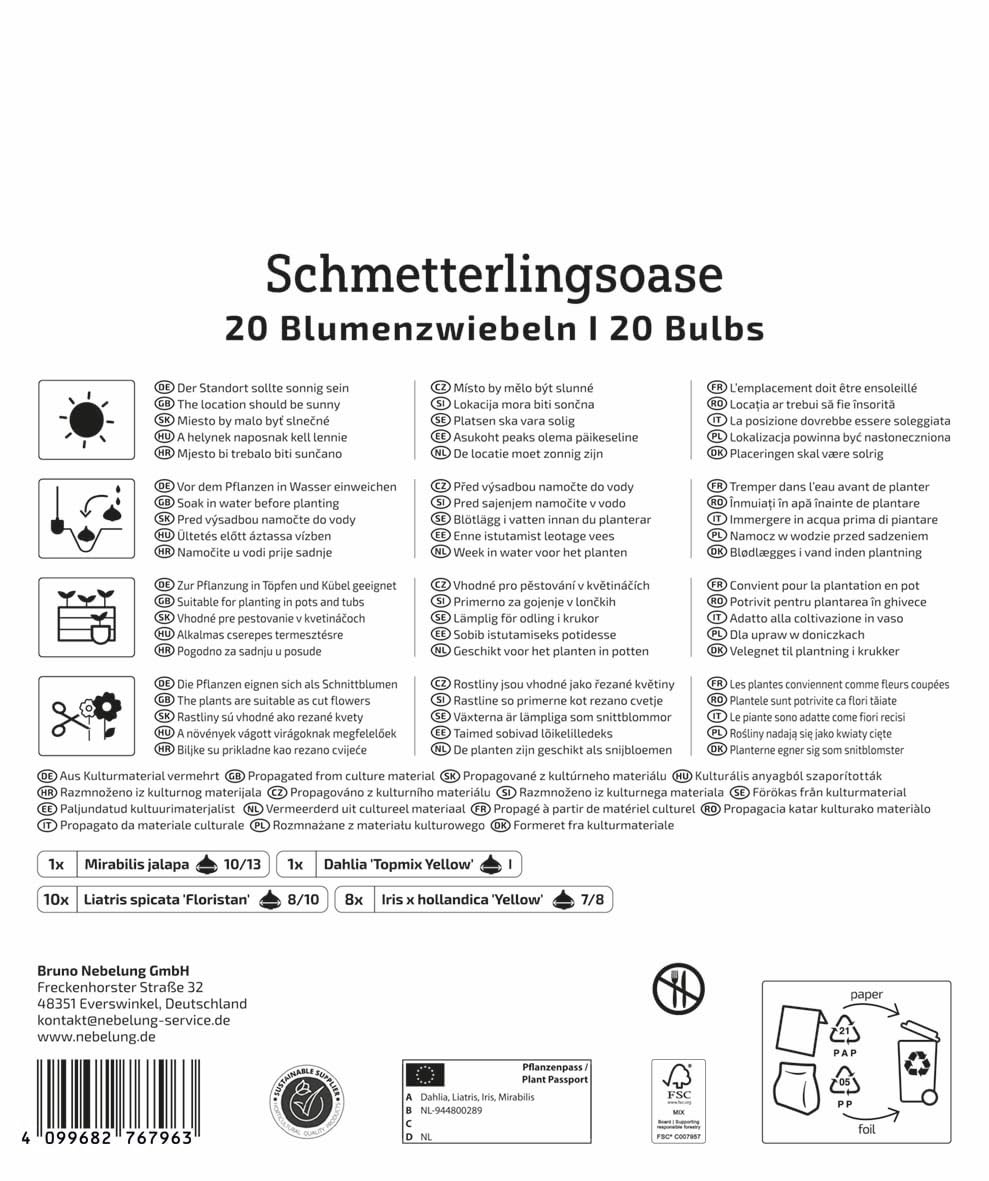kiepenkerl-mega-pack-schmetterlingsoase-blumenzwiebelmischung-bienenfreundlich image 2