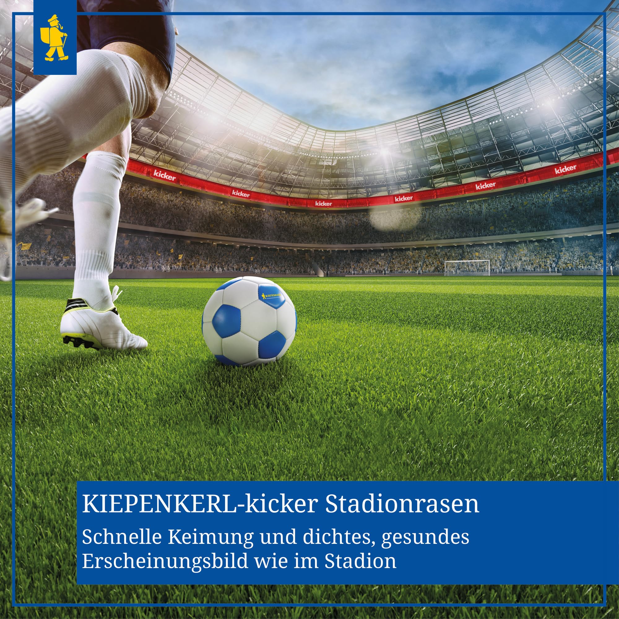 kiepenkerl-kicker-stadionrasen-rsm-3-1-rasensamen-1-kg-f-r-50-m image 2